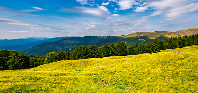 喀尔巴阡山脉草坡上的华丽天气山坡风景边缘资源时间林地叶子小丘环境山毛榉背景图片