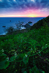 加利福尼亚日落 有野花花朵海滩远景悬崖旅行地平线游客海岸波浪海浪图片