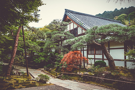 日本京都Jojakkoji寺庙宗教游客建筑神道花园地标神社文化森林建筑学图片