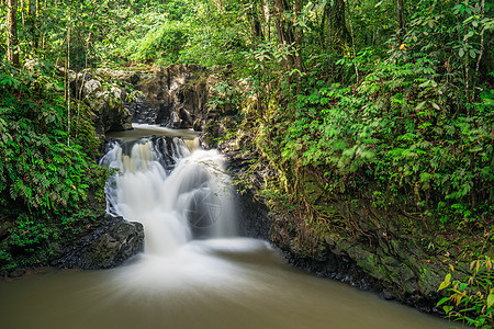 Tawau Hills公园瀑布自然保护区溪流丛林摄影风景热带绿色森林图片