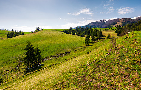 山脊脚下有青草的山丘公园海拔小丘风景林地山坡上坡草地环境森林背景图片