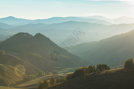 山上的美丽黎明日落针叶环境农村植物植物群国家天空山脉公园图片