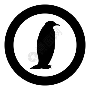圆黑色矢量插图中的企鹅图标图片