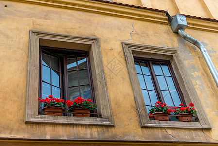 黄色房子的窗台上装着红色的锅子图片