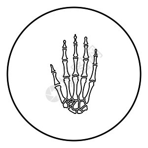 手骨图标黑色矢量插图简单图像圆形药品手臂腕骨解剖学射线科学男人骨骼放射科图片