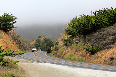 雾中的道路薄雾运输乡村土地小路阴霾沥青风景地平线旅行图片