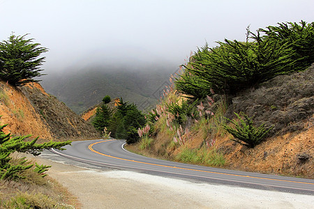雾中的道路运输小路车道季节沥青地平线乡村薄雾土地旅行图片