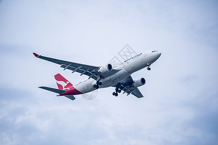 Qantas空中客车图片