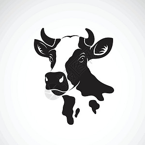 白背景牛头设计矢量 农场动物 Vect食物草图牛奶农业眼睛国家卡通片家畜插图小牛图片