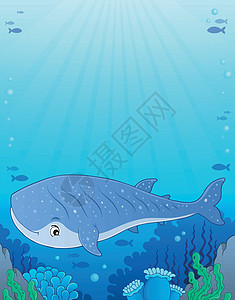 鲸鲨鱼主题图1图片