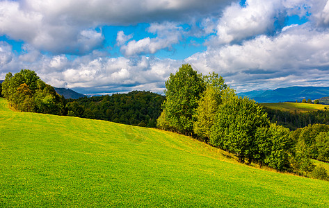 山坡上美丽的青草草原地毯高山起义小丘边缘金库天气蓝色顶峰空地背景图片