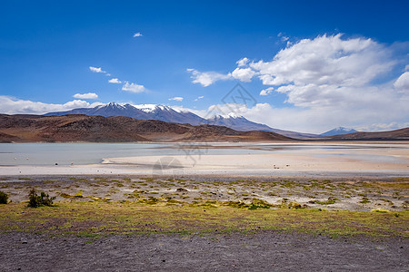 沙漠之湖玻利维亚苏德利佩斯阿尔蒂普拉诺保留地旅游沙漠风景高原太阳保护晴天荒野天空旅行背景