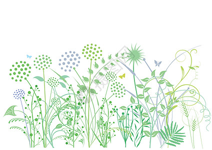 草草 草药 植物 插图图片