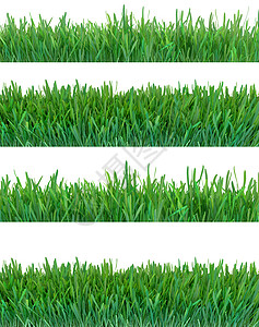 绿草集 自然背景 草地 春夏季节 植物生长 3d 渲染框架牧场叶子宏观园艺花园场地刀刃公园农场图片