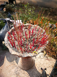 在泰国寺庙为佛像祈祷神的香香和蜡烛篮子文化烛台宗教乡村古董木材圆圈花朵木板图片