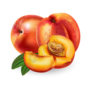 白色背景的桃子水果生态食物餐厅美食叶子插图包装徽章标签图片