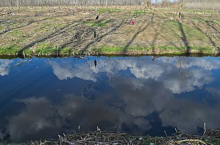 春初和另一边的灌溉运河 在图片