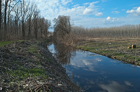 春初时的灌溉运河 风景图系统农村稻田农场叶子自然场地天空企业流动图片