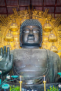 日本纳拉寺庙的佛教徒世界神道遗产寺庙吸引力文化观光建筑学宗教图片