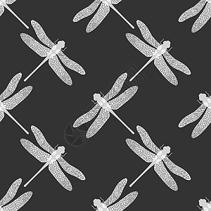 无孔雀无缝模式 昆虫设计 艾什纳维里德尔图片