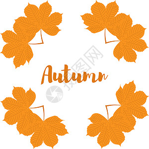 秋黄色的栗子叶插图生态叶子棕色季节植物群橙子板栗植物学白色图片