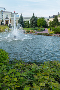 一个美丽的喷泉 在一个绿绿环绕的池塘里 在光豪宅和无云天空的背景图片