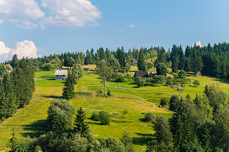 绿色山坡和蓝天背景下的零星小农村房屋面积之大;图片