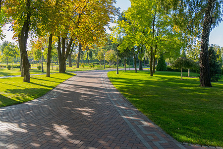 公园的一条宽阔小巷铺满了瓷砖和绿草坪图片