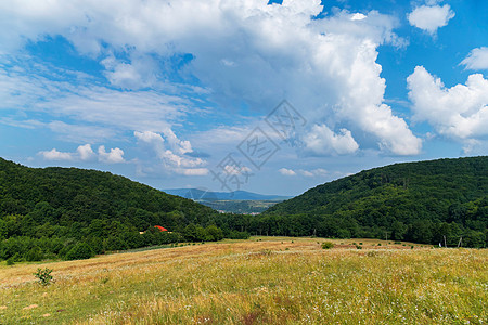 开阔视野绿色的草地高清图片