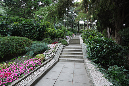 花和灌木丛背景的公园楼梯上图片