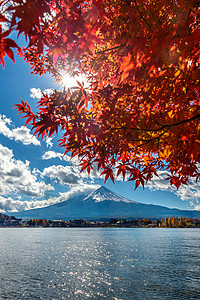日本川口子湖的秋季山和藤山天空叶子地标季节场景旅行风景反射樱花公吨图片