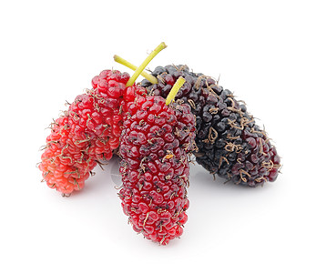 白色背景上隔离的 mulberry团体水果黑色食物工作室浆果宏观紫色图片