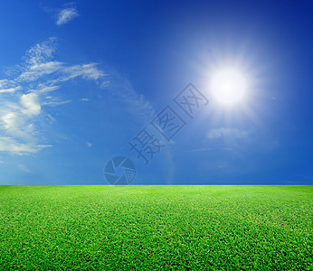 蓝sk下的绿草和阳光天空国家花园农场生长环境墙纸场地植物草地图片