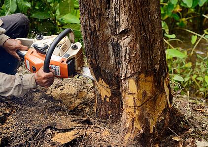 带链锯的人砍树日志力量成人工人木头危险林业男人木工人职业图片