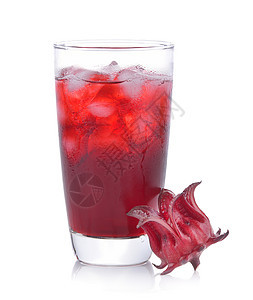 玫瑰花汁在玻璃中 冰与白色的背面隔离热带木槿草本植物茶点饮料果汁水果草本绿色活力图片