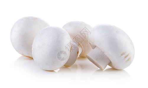 白背景孤立的香格里翁蘑菇白色食物美食宏观蔬菜图片