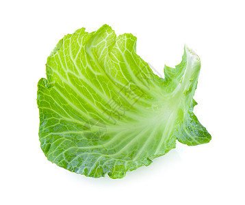 白底白背景的白菜叶蔬菜绿色白色花园饮食沙拉食物叶子图片