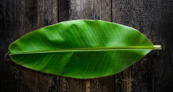 木材上香蕉叶白色场地地面绿色树叶食物棕色桌子植物叶子图片