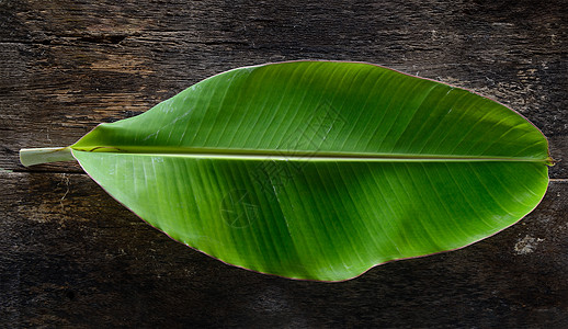 木材上香蕉叶食物绿色桌子树叶场地热带叶子木头植物白色图片