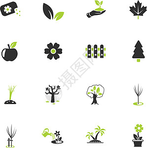 植物工具图标 se袜带发芽树苗叶子花朵种子枞树栅栏树叶背景图片
