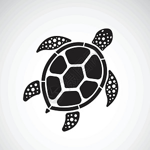白色背景下龟设计的矢量 爬虫 动物情调标识荒野夹子绘画海洋生物乌龟艺术游泳图片