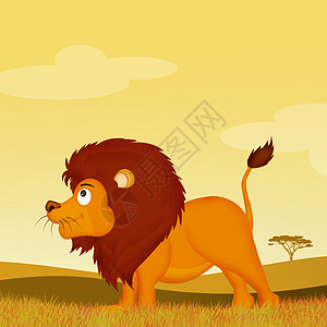 非洲地貌中的狮子卡通片日落插图鬃毛哺乳动物动物吉祥物国王荒野森林图片