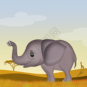 非洲地貌大象灰色动物耳朵荒野森林卡通片动物园吉祥物日落哺乳动物图片