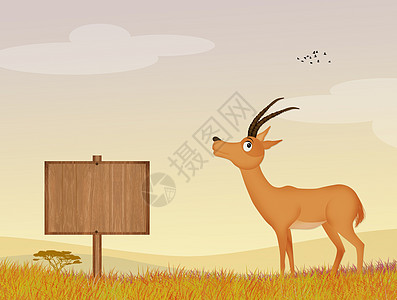 羚星插图哺乳动物牛角吉祥物日落动物卡通片丛林荒野动物园森林图片