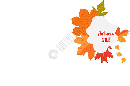 秋季黄色树叶和有文本秋季销售的彩色徽章图片