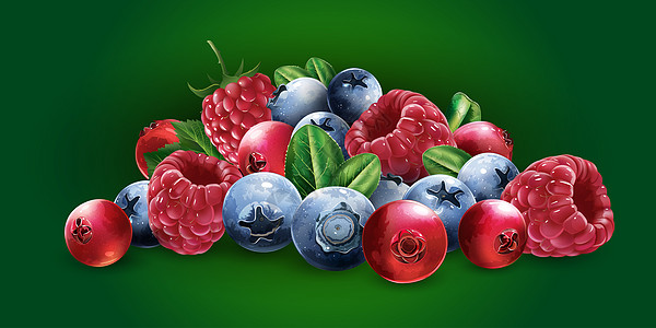 覆盆子 蔓越莓 蓝莓和草莓插图甜点收成广告美食餐厅标签水果厨房生态图片