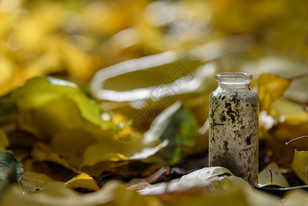 瓶装杯肮脏的旧秋叶叶背景图片