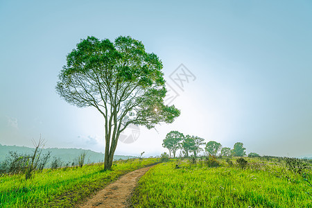 美丽的农村绿草田景观 山附近山上山丘上有灰色的乡村道路和树木 蓝天清澈 自然构成图片