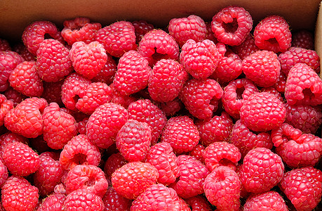 美味的草莓纹理营养覆盆子宏观收成植物饮食水果红色甜点食物图片