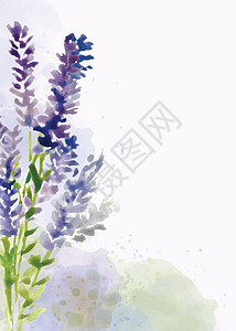 水彩风格的美丽手绘花卉背景艺术植被花瓣植物学水性植物打印墨水卡片水彩花图片